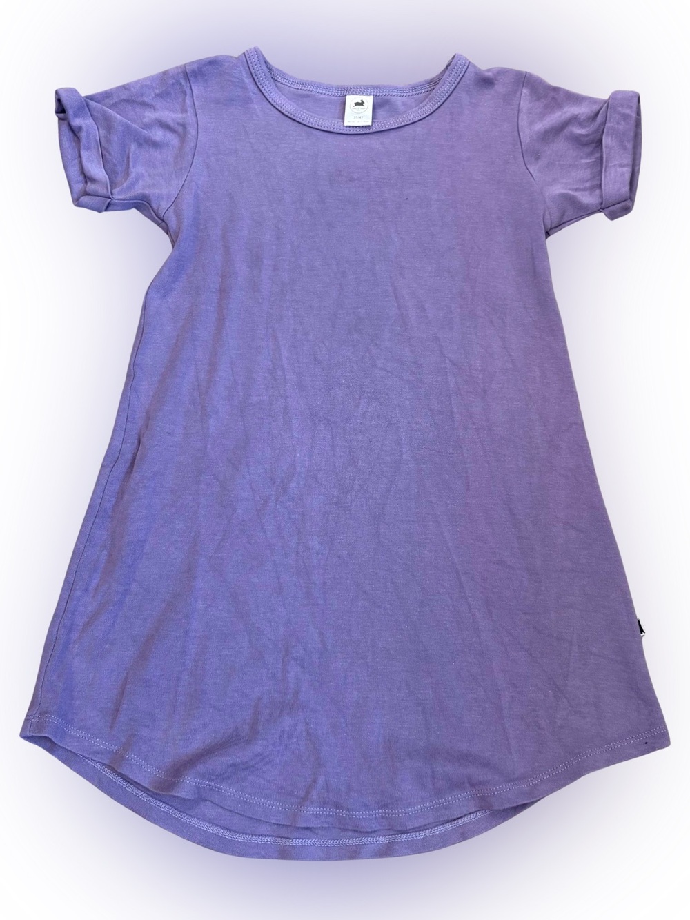 Little and Lively Purple Dress Size 3/4